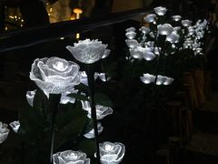 -龙环葡韵住宅式博物馆