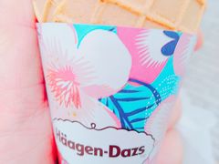 -哈根达斯(扬州瘦西湖店)