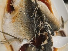 清蒸鲩鱼-海宝酒家(中山四路店)