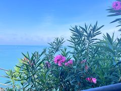 -东极岛景区
