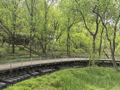 -西湖风景区-江洋畈生态公园