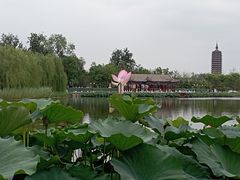 -西海子公园