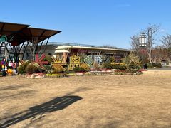 -上海长兴岛郊野公园