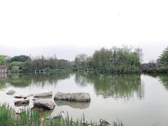 -海珠湖公园