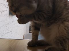 -拾壹cafe·工作室