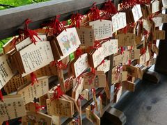 -有栖山 清光院 清水寺