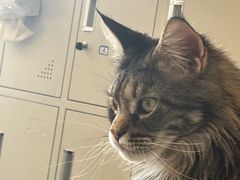 -平行世界·猫咖(首经贸店)