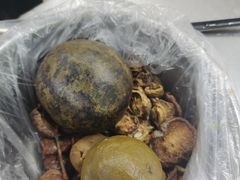 制酸干料-正宗梧州牛肠酸