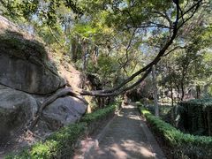 -灵岩山风景区