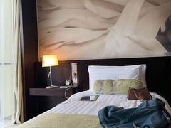 -国家会议中心大酒店