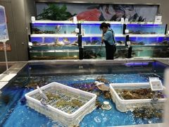 -盒马鲜生(顺义店)