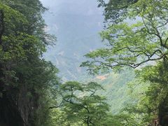 -塔云山