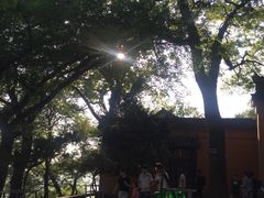 -灵岩山风景区