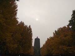 -玲珑塔公园