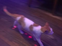 -星宿秘码(鼓浪屿老店)