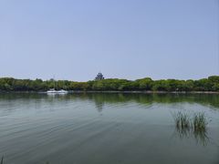 -金鸡湖桃花岛