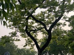 -西湖天地