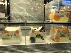 橱窗里的小猫蛋糕-随心小姐