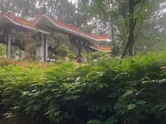 -白云山风景名胜区