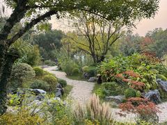 -东湖落雁景区