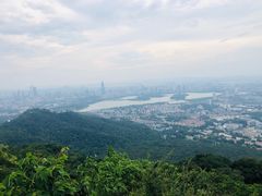 -紫金山山顶公园