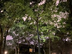 -杭州花家山庄