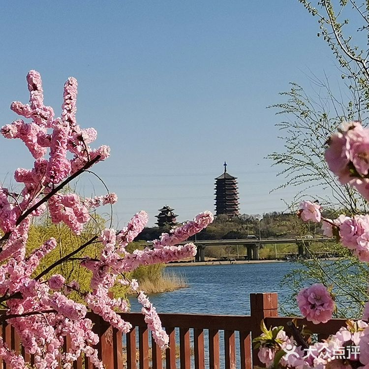 巍峨古朴的永定塔如诗如画，桃花也更凸显文艺气息