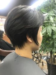 -镁连社·美联社