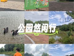 -江苏三台山国家森林公园
