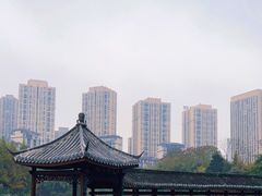 -龙头寺公园