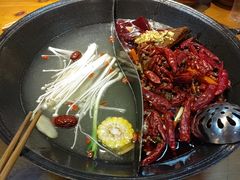 -阳阳老火锅(小南门店)