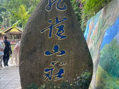 -西双版纳原始森林公园