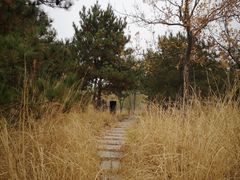 -东郊湿地公园