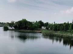 -尚贤河湿地