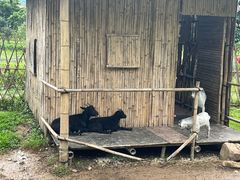 -广州锦绣香江度假别墅