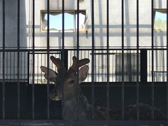 -鄂尔多斯野生动物园