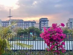 -海南槟榔谷黎苗文化旅游区