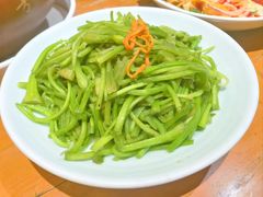 清炒水性杨花-老滇山寨•云南特色菜•地方菜•民族风情歌舞表演(金碧店)