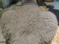 -小时光咖啡馆(开森度假森林店)