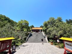-中原大佛景区