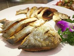 -瑞记湛江鸡饭店·粤西第一鸡(粤垦店)