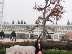 -日照职业技术学院