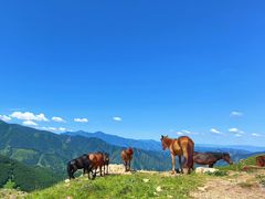 -灵山