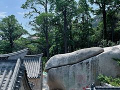 -崂山仰口游览区