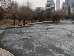 -团结湖公园
