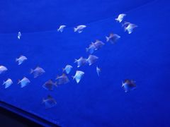 -沈阳海洋探索中心