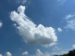 -水杉园
