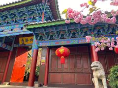 -黑龙潭公园