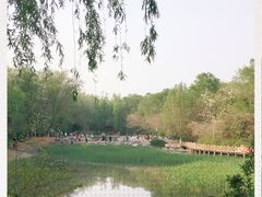 -云岗森林公园