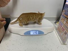 -贝来恩24H动物医院·转诊中心(稻香路店)